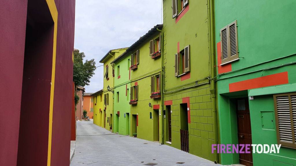 immagine annuncio 4 di 15