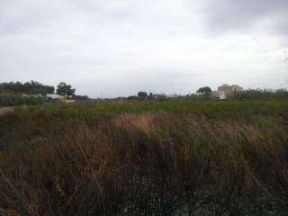 Terreno agricolo in vendita a marsala contrada spagnola