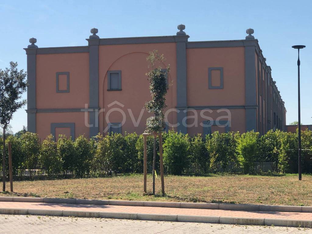 immagine annuncio 9 di 15