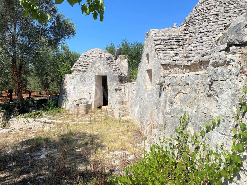 immagine annuncio 9 di 14