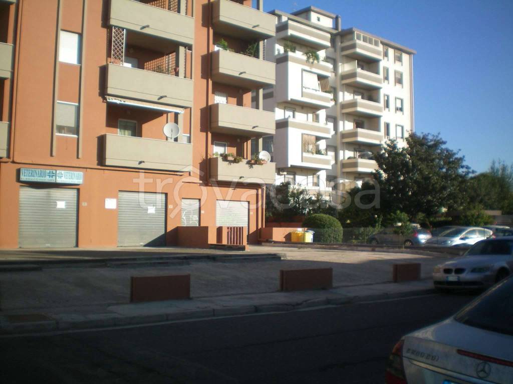 immagine annuncio 5 di 12
