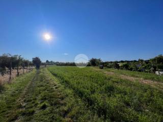 Terreno agricolo in vendita a misano adriatico via s. andrea, 46