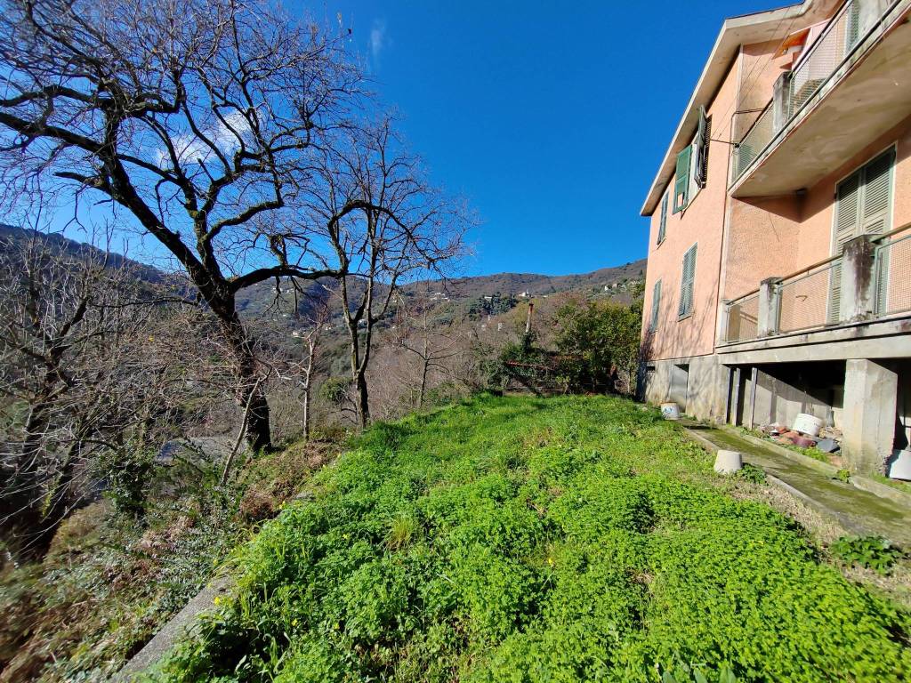 immagine annuncio 7 di 8