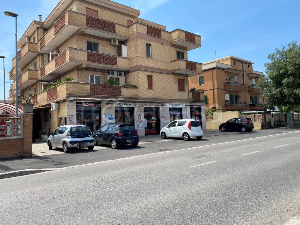 immagine annuncio 7 di 9