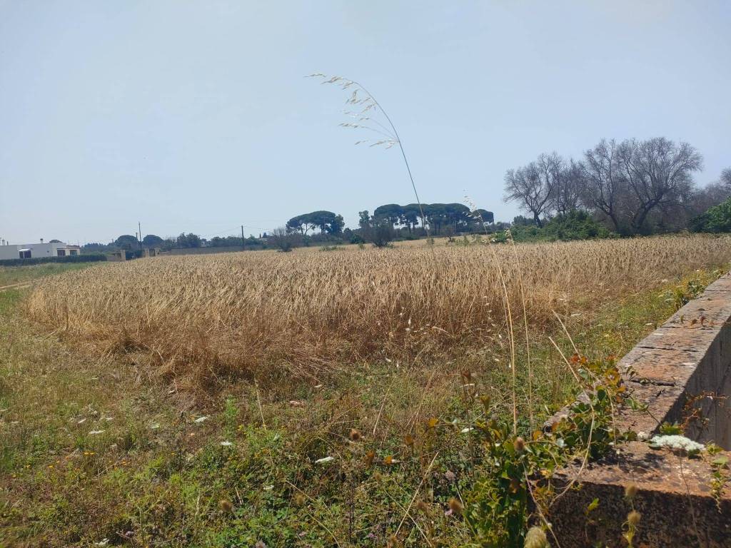 immagine annuncio 1 di 9