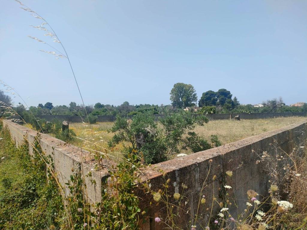 immagine annuncio 2 di 9