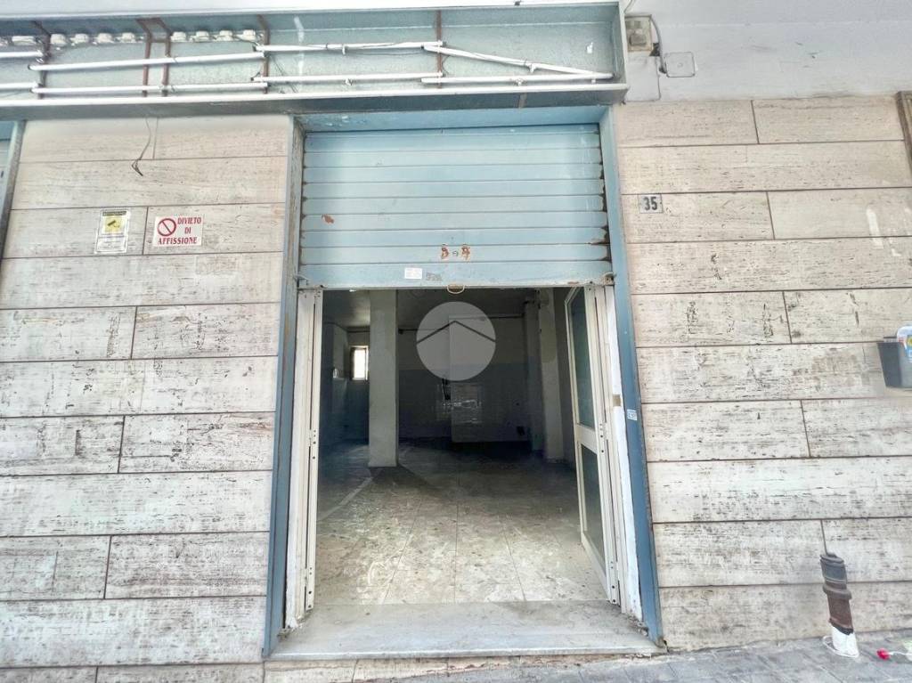 immagine annuncio 12 di 14