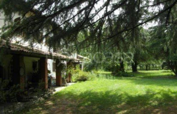 immagine annuncio 4 di 9