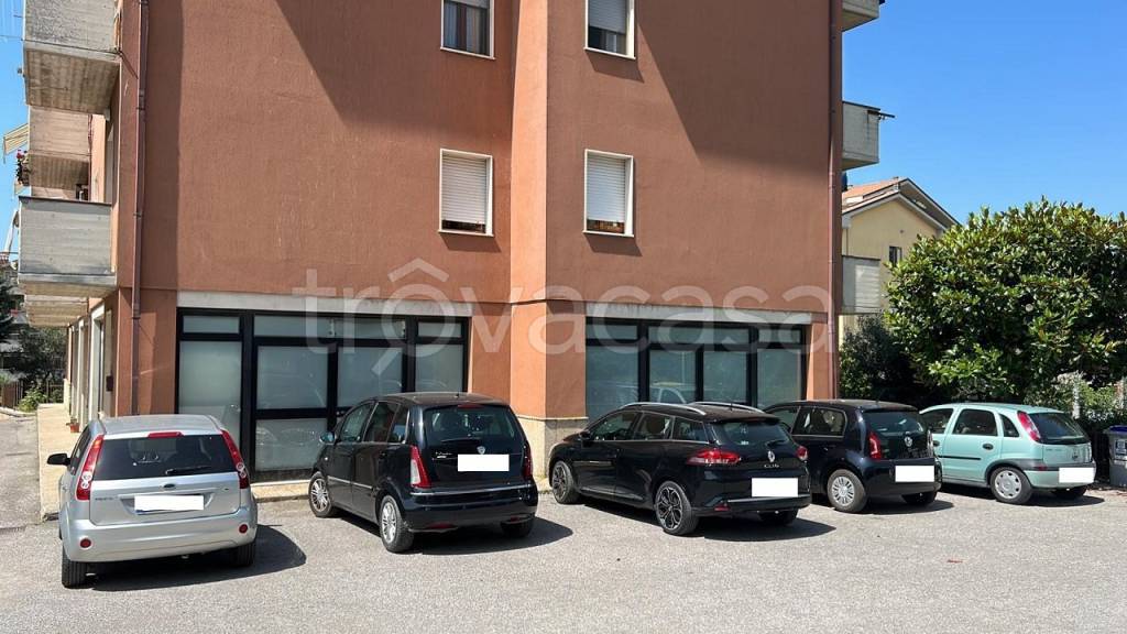 immagine annuncio 12 di 13