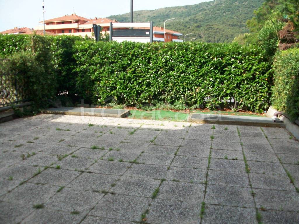 immagine annuncio 7 di 14