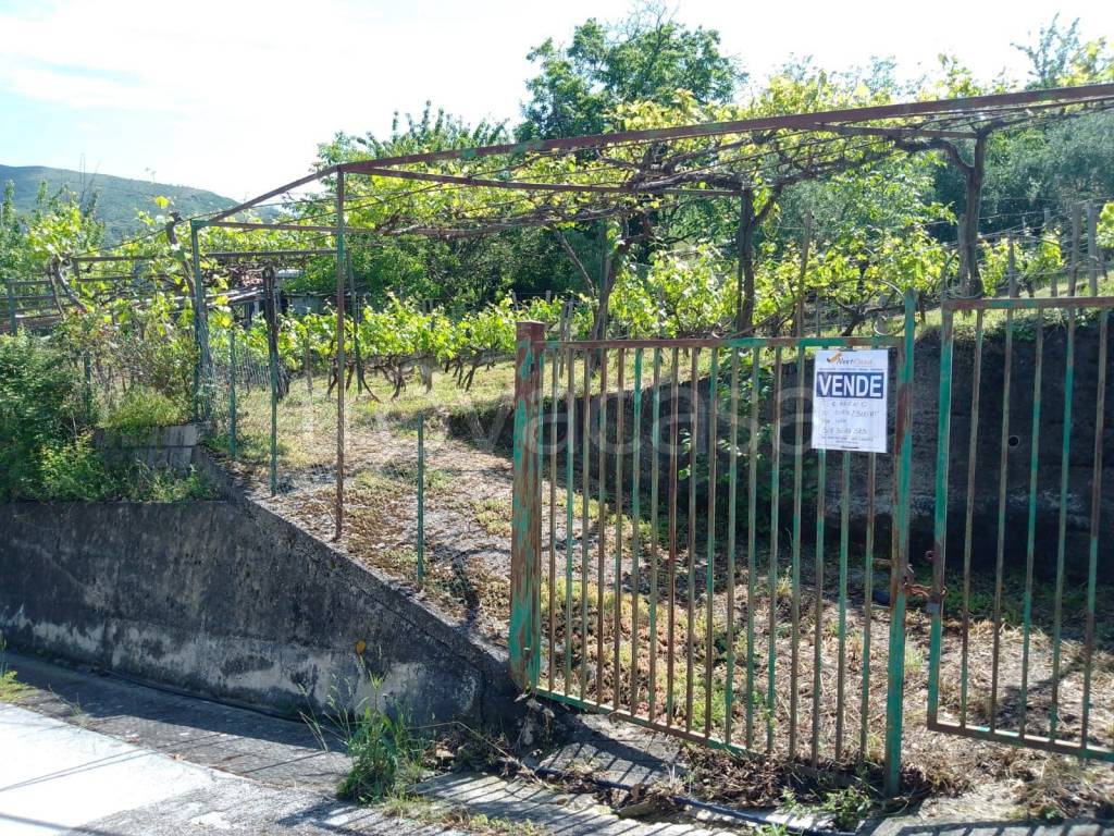 immagine annuncio 2 di 6