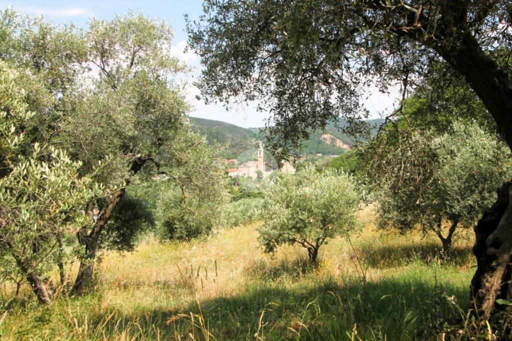 Terreno Agricolo in vendita a Galzignano Terme via Saggini