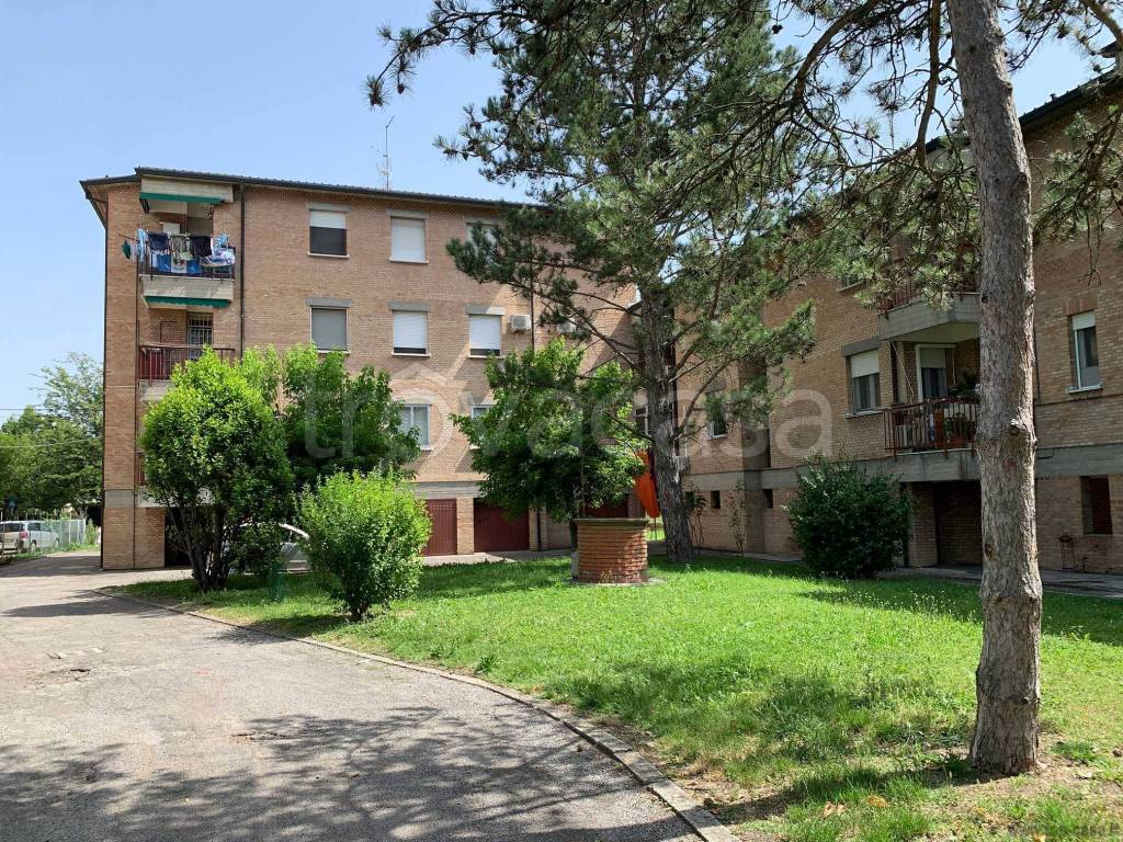 Appartamento in vendita a Molinella via Guglielmo Marconi, 81