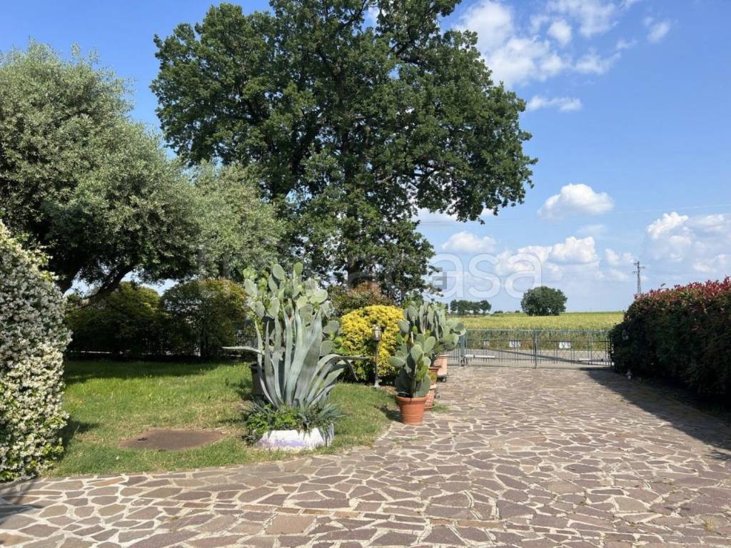 Villa Bifamiliare in in vendita da privato ad Albinea via Giuseppe Soglia, 8