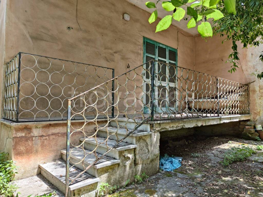 immagine annuncio 2 di 13