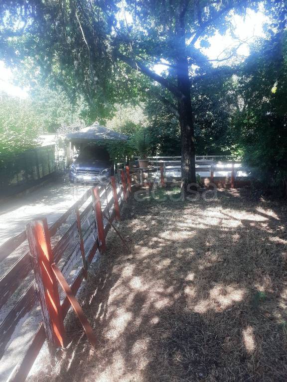 immagine annuncio 3 di 8