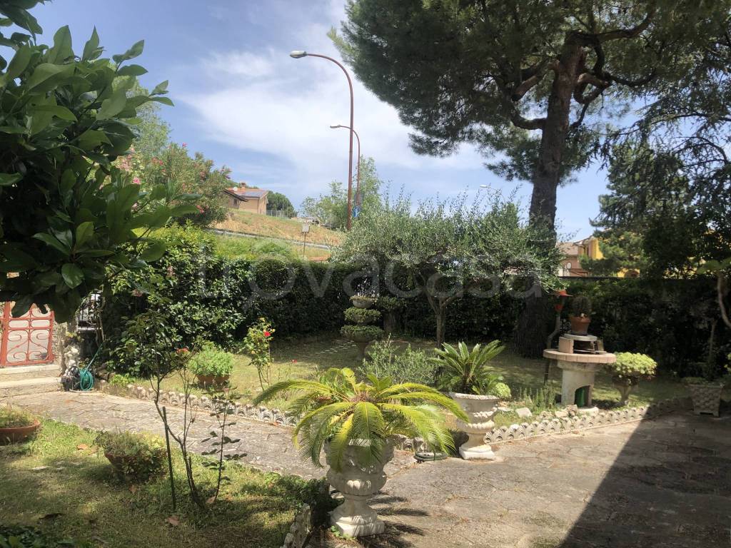 immagine annuncio 5 di 12