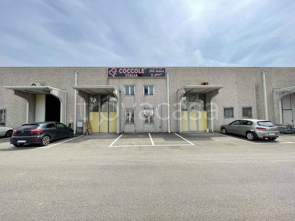 immagine annuncio 1 di 8