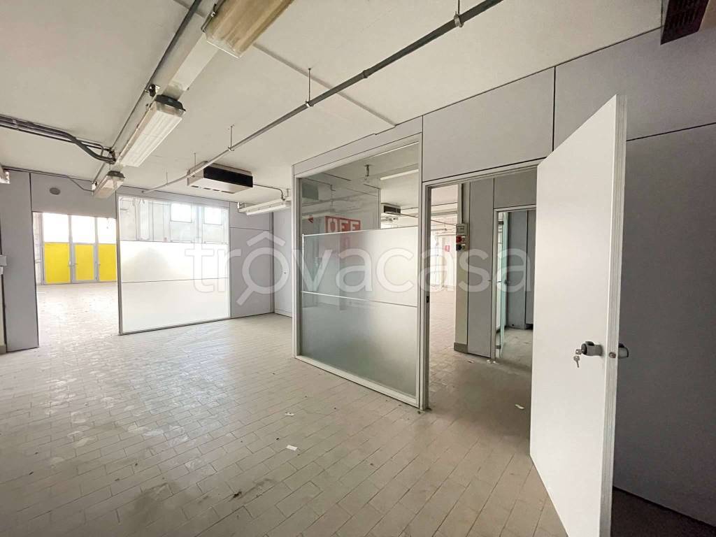 immagine annuncio 4 di 8