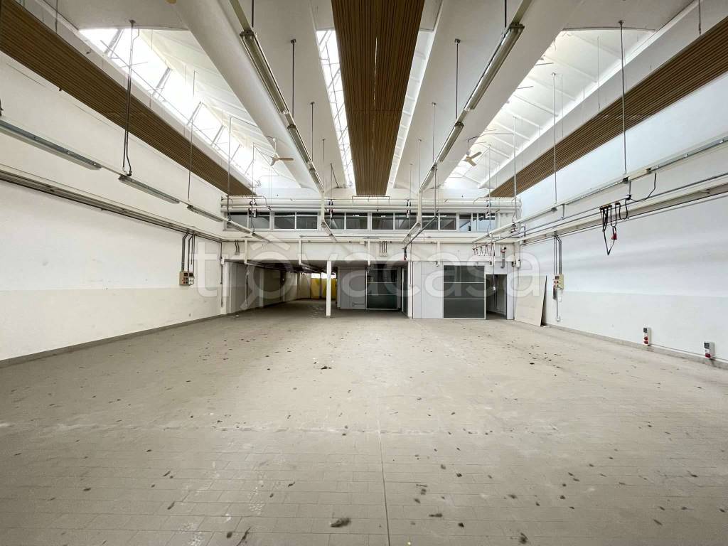 immagine annuncio 5 di 8