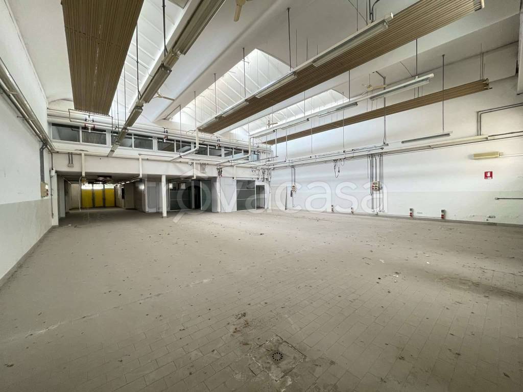 immagine annuncio 6 di 8