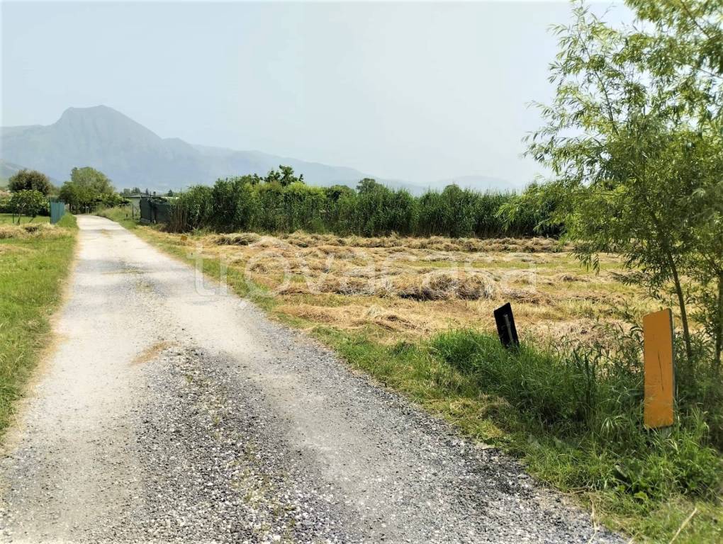 immagine annuncio 7 di 8