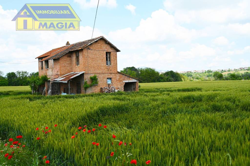 immagine annuncio 2 di 11