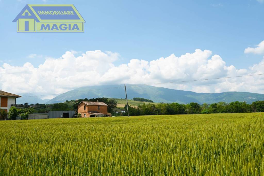 immagine annuncio 6 di 11