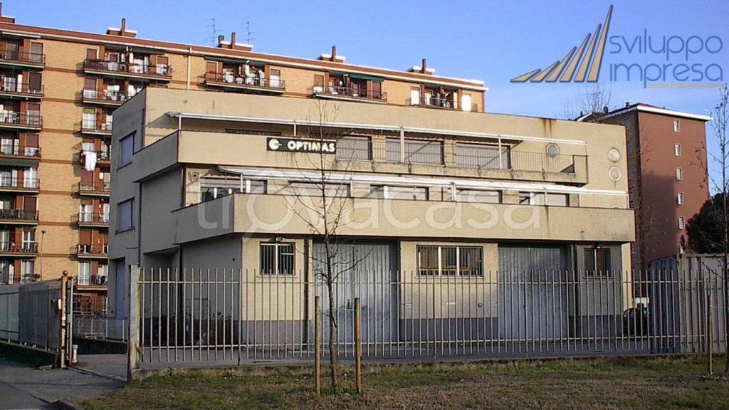 immagine annuncio 7 di 15