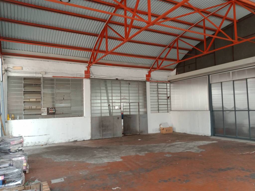 immagine annuncio 9 di 15