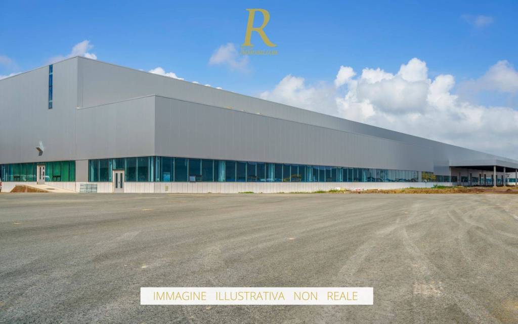 immagine annuncio 3 di 11