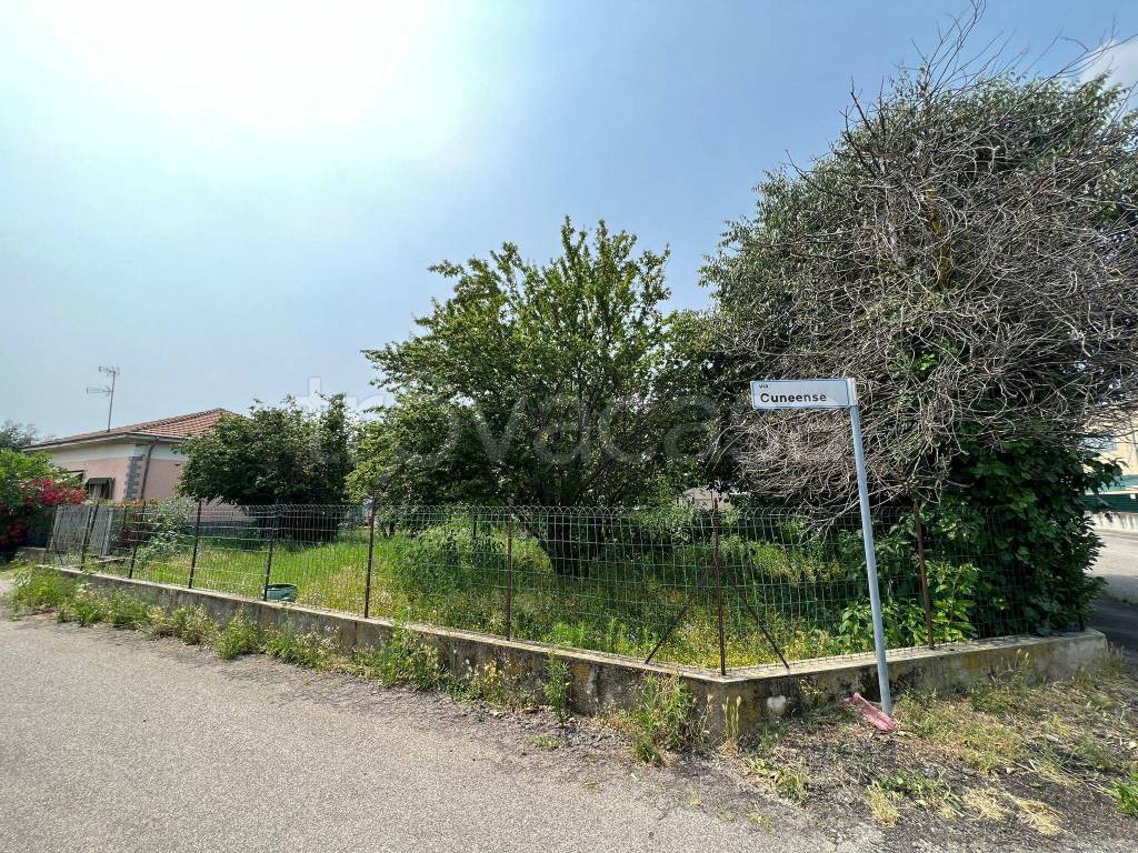 immagine annuncio 6 di 14