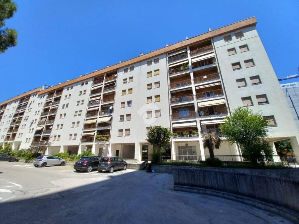 Appartamento in vendita ad Ascoli Piceno largo delle dalie, 2
