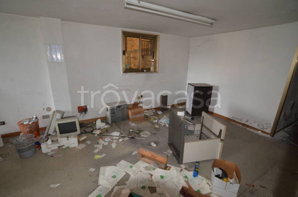 immagine annuncio 7 di 12