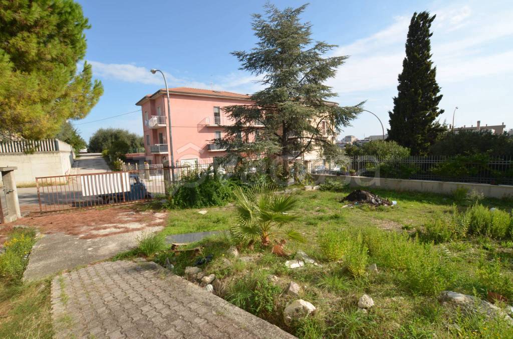 immagine annuncio 8 di 12