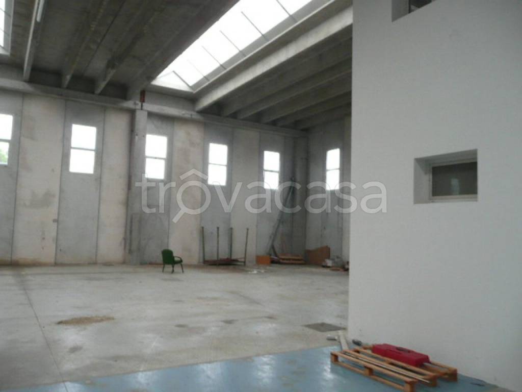 immagine annuncio 2 di 7
