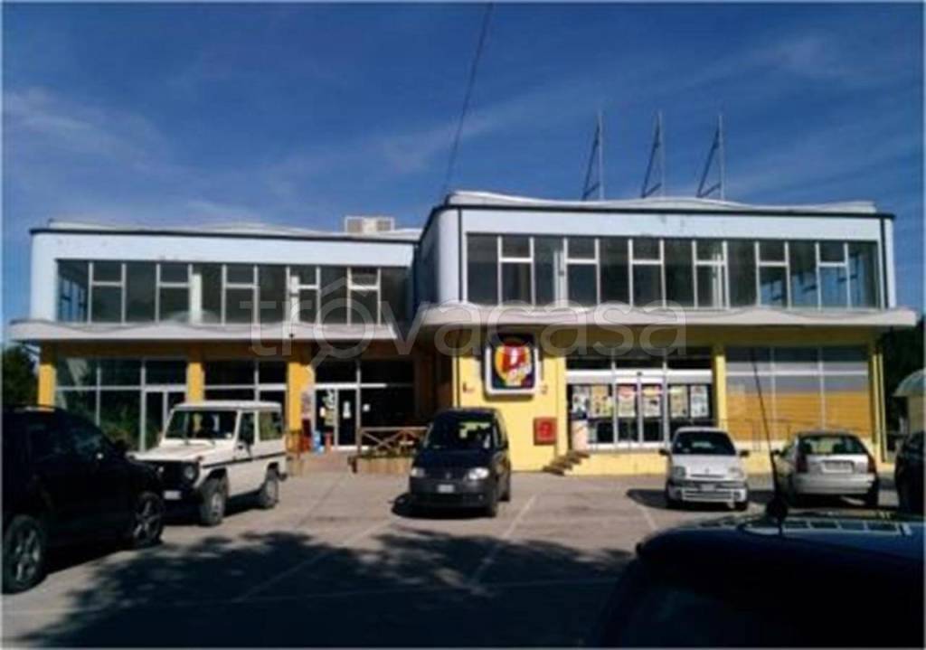 immagine annuncio 5 di 8