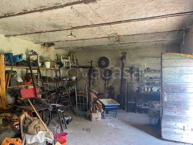 immagine annuncio 5 di 14