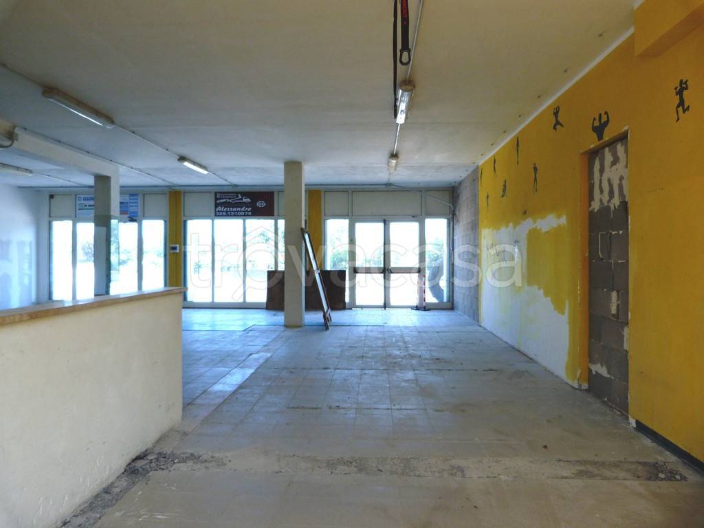 immagine annuncio 8 di 12