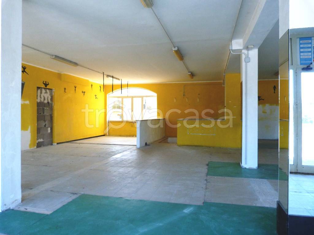 immagine annuncio 9 di 12