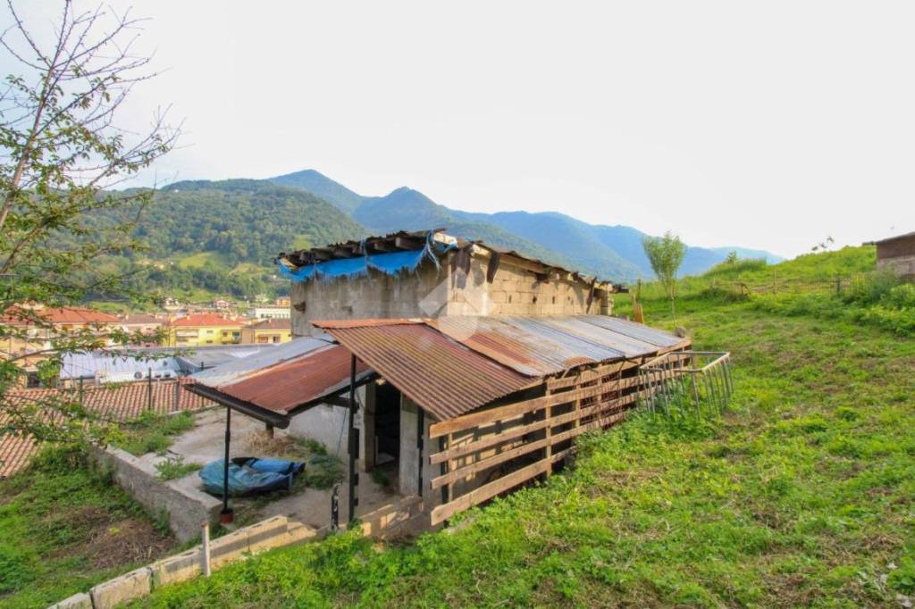 immagine annuncio 3 di 11