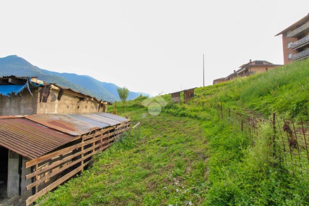 immagine annuncio 4 di 11