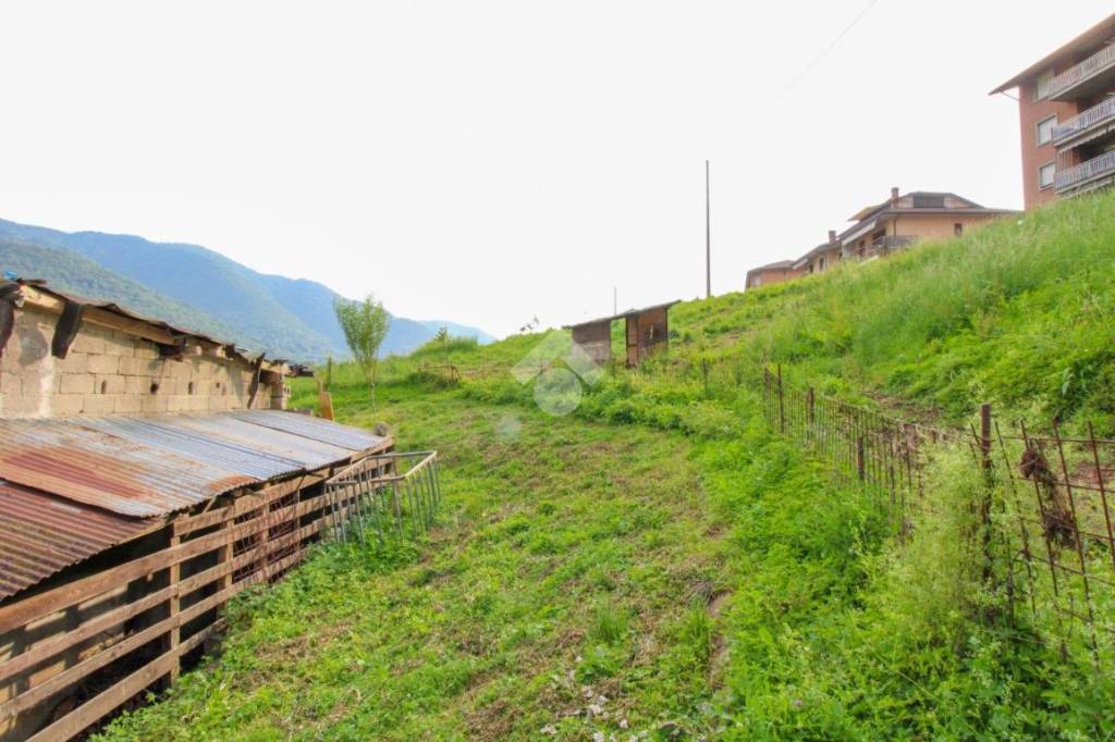 immagine annuncio 9 di 11