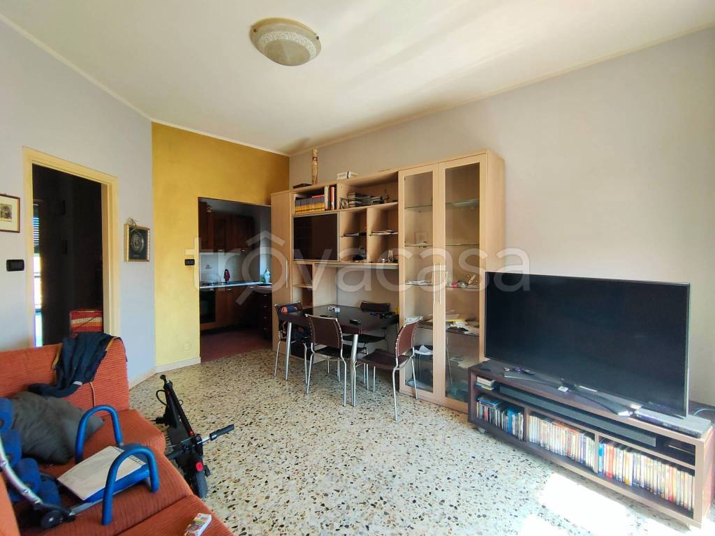 immagine annuncio 3 di 14