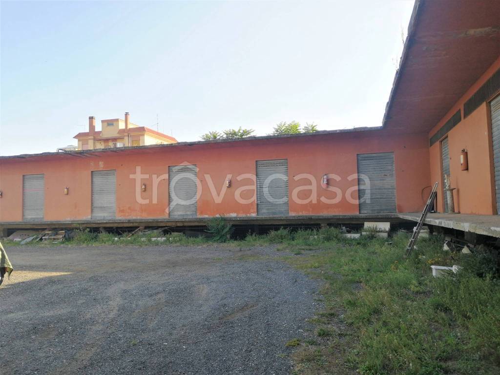 immagine annuncio 10 di 14