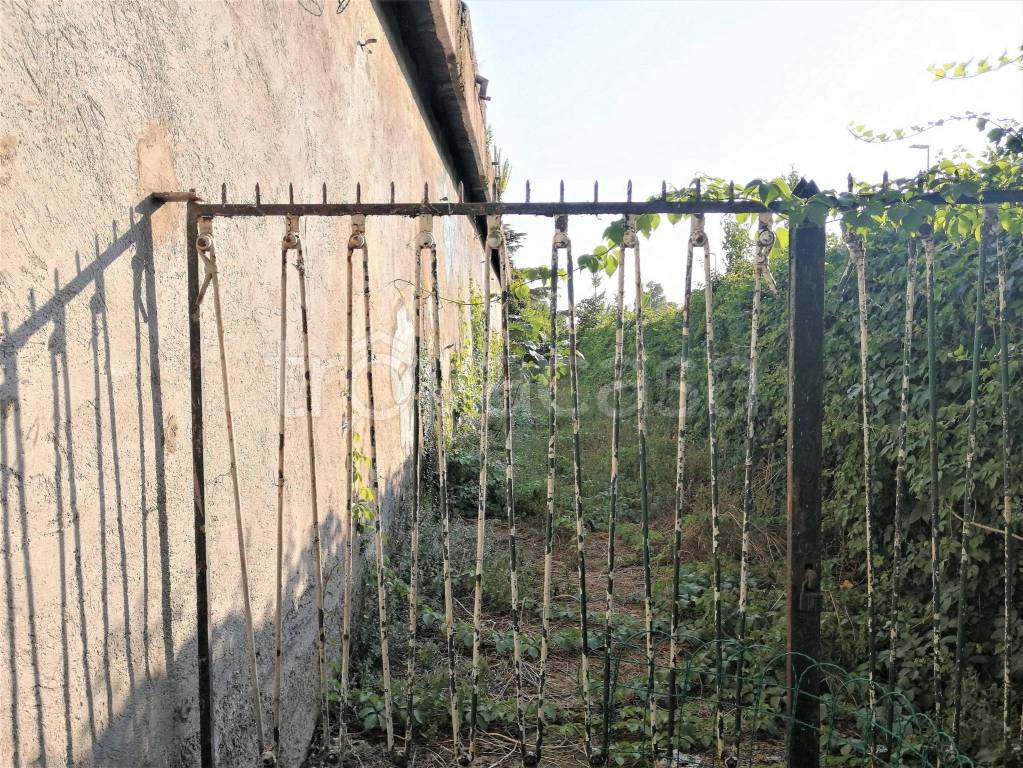 immagine annuncio 11 di 14