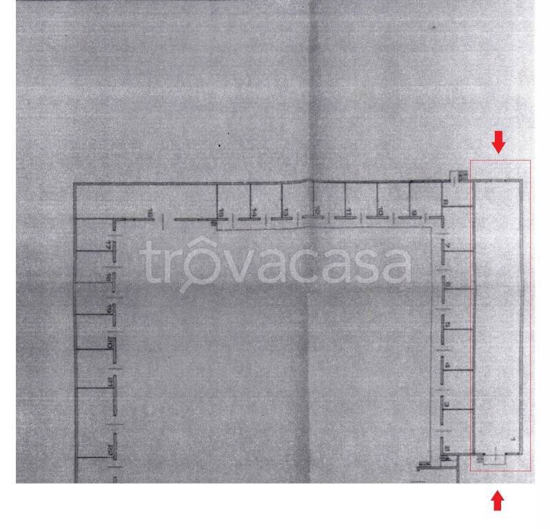 immagine annuncio 13 di 14