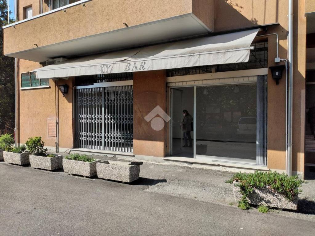 immagine annuncio 12 di 14