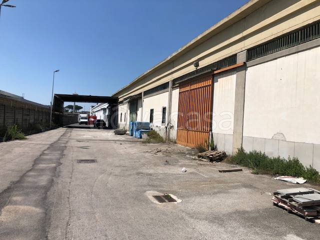 immagine annuncio 1 di 6