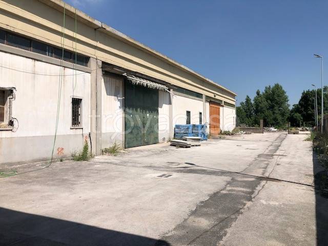 immagine annuncio 2 di 6